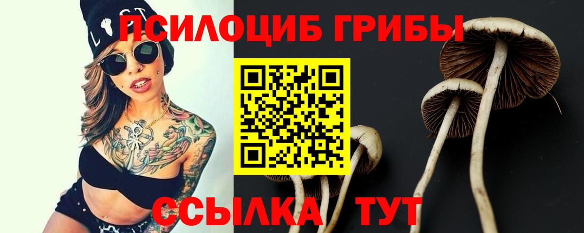 Саров  Псилоцибиновые грибы Cubensis  Галлюциногенные грибы Psilocybine cubensis  Вход с VPN 